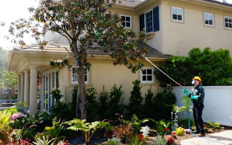 Sims Tree Health Specialists, Inc.