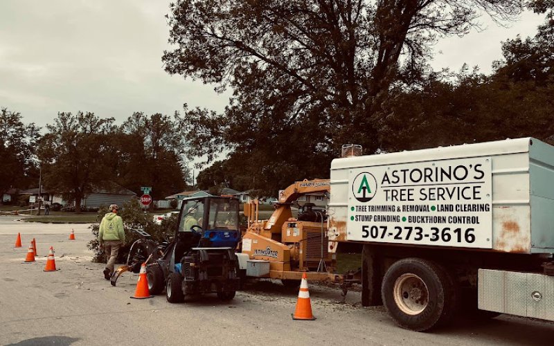 Astorino's Tree Service
