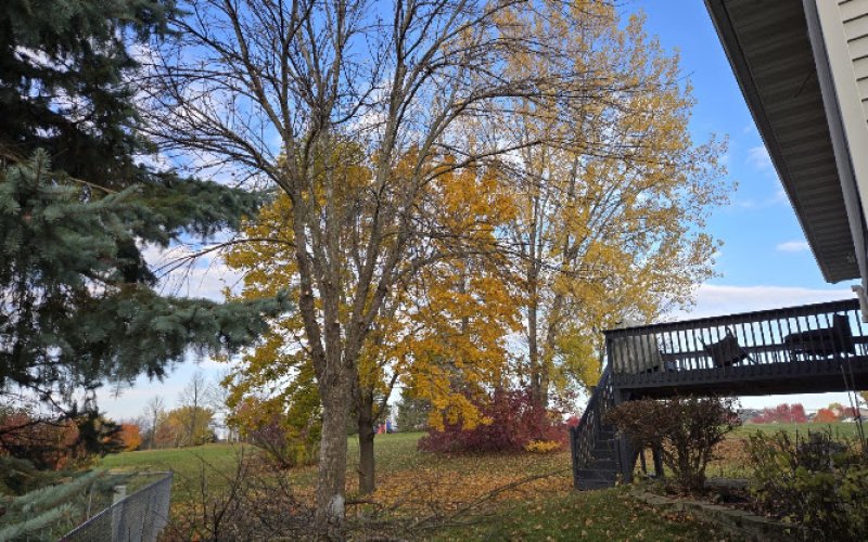 Full Circle Tree Removal LLC
