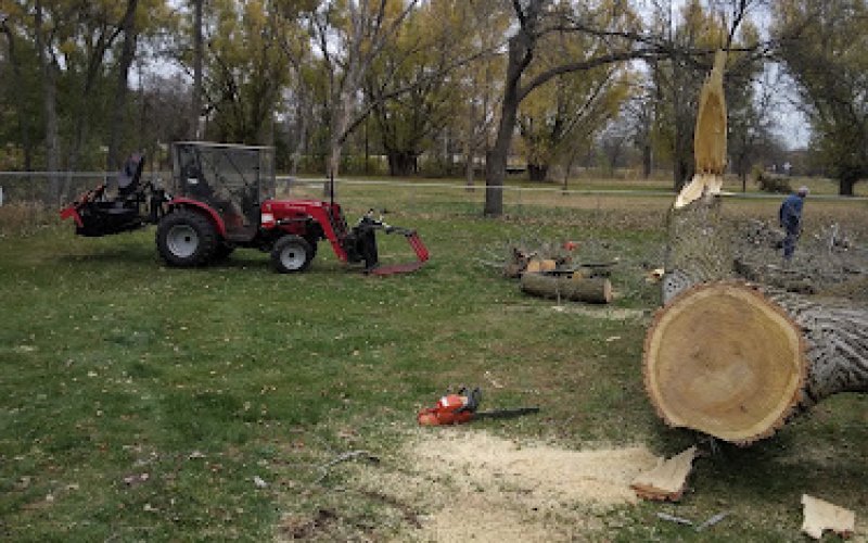 Hometown Stump Eliminator