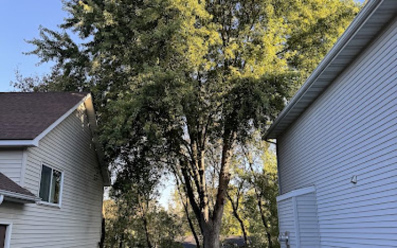 Integrity Tree and Lawn Services