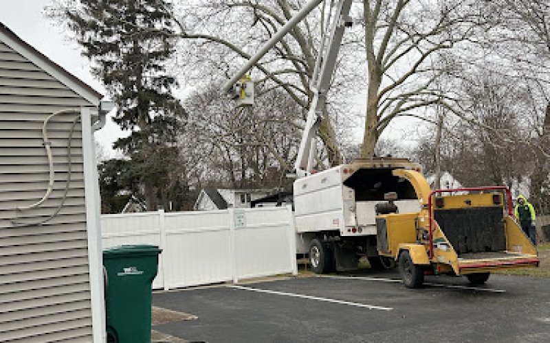 K&C Rochester Tree and Landscape — Tree service in Rochester