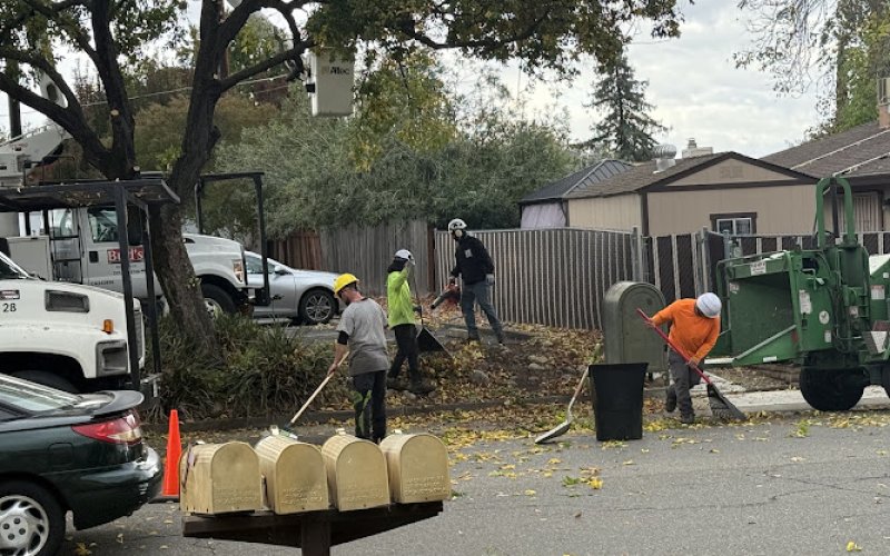 Bud's Tri-County Tree Services Inc — Tree service in Sacramento