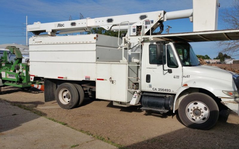 S & J Tree Care — Tree service in Sacramento
