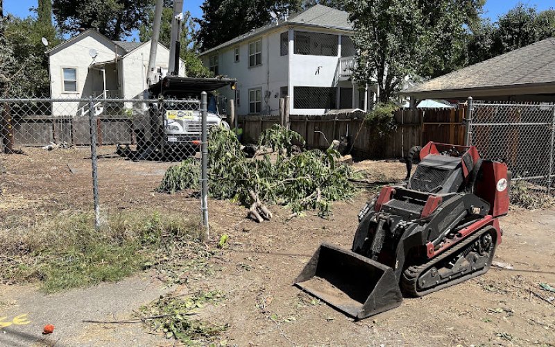 The Grove Total Tree Care — Tree service in Sacramento