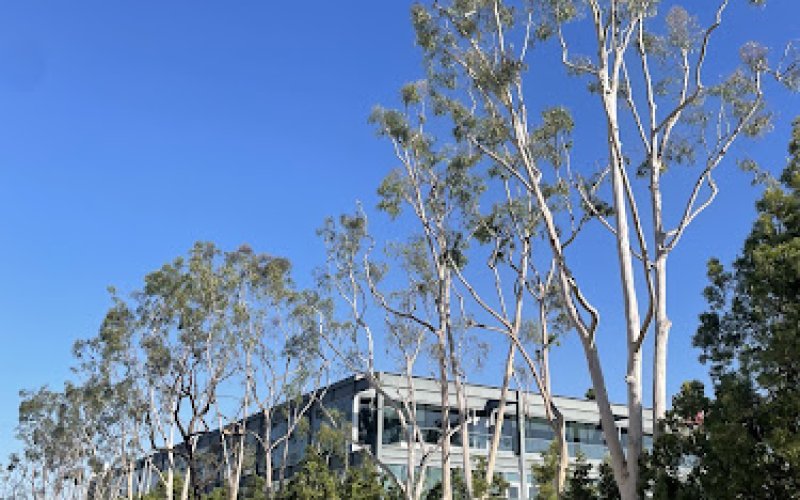 Timberland Tree Service — Tree service in Sacramento