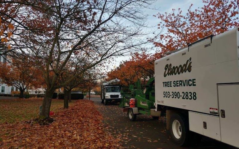 Elwood's Tree Service