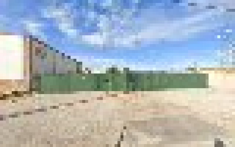 Sacs Landscape And Tree Service — Landscaper in San Angelo