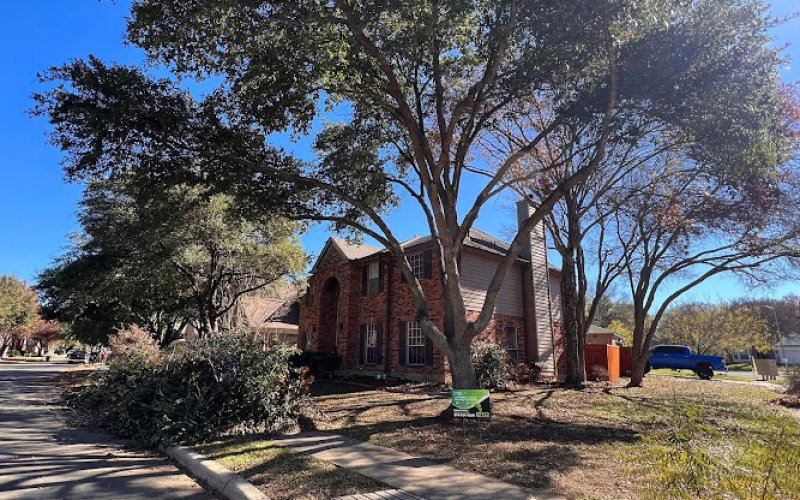 210 Tree Care — Tree service in San Antonio