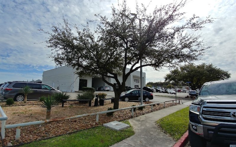 Top Notch Arbor Care — Tree service in San Antonio