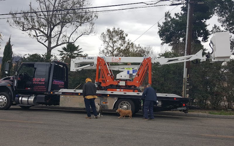 First Certified Arbor Care — Tree service in San Bernardino