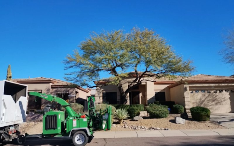 Woodside Tree Service