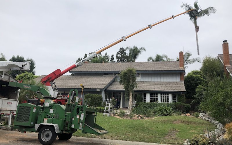 Eller’s Tree Service