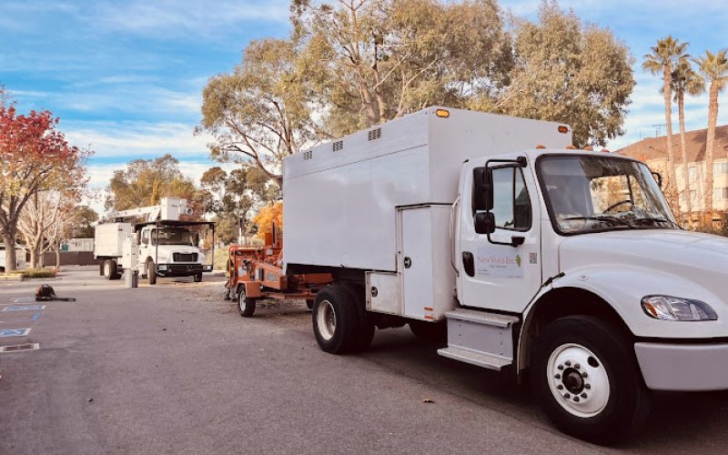 NewVista Tree Service