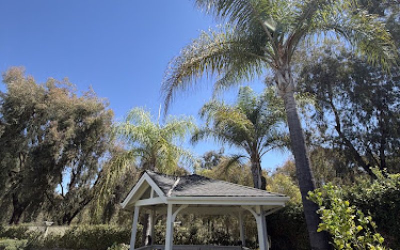 Erik's Tree Service & Brush Clearance — Tree service in Santa Clarita