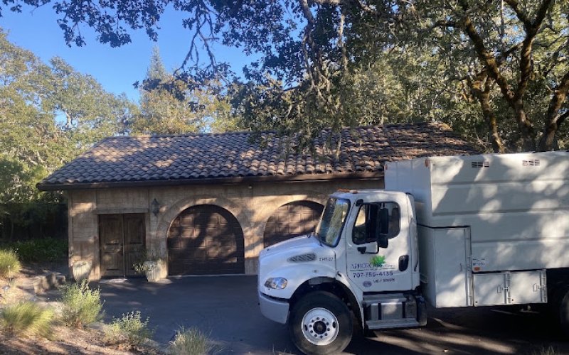 Arborcare Group Inc | The Tree Specialists