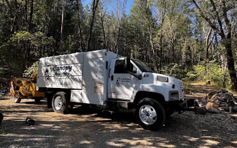 Canopy Arborists