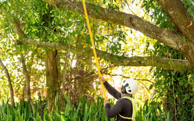 The Davey Tree Expert Company