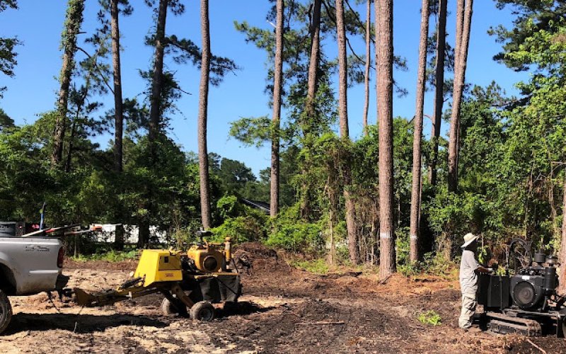 Cole Tree Care