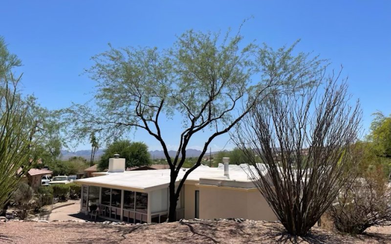 B&C Tree Services — Tree service in Scottsdale