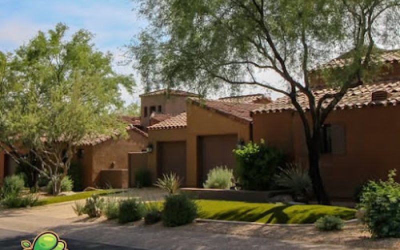 Valley Tree Care — Tree service in Scottsdale