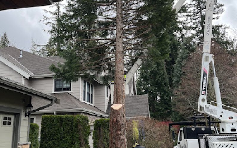 Eastside Tree Works