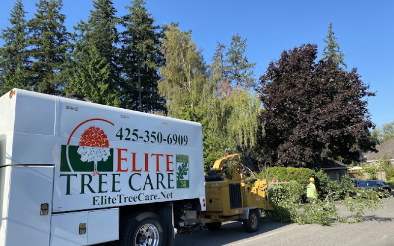 Elite Tree Care LLC