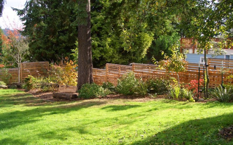 Grun Tree Care