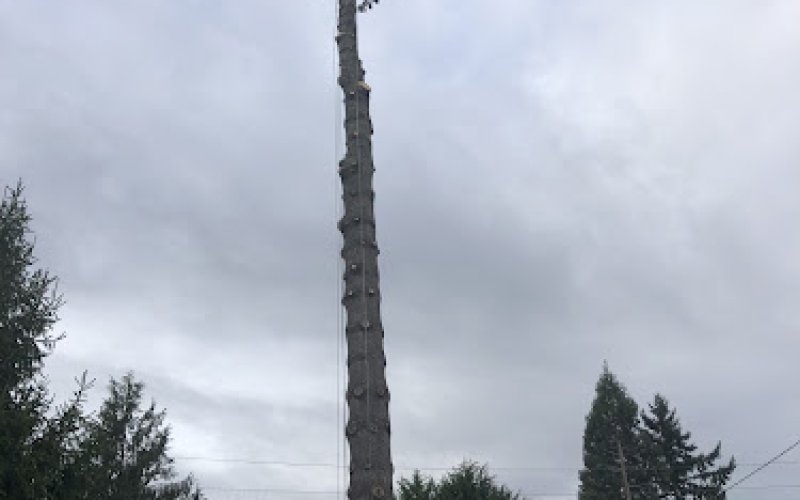 Urban Arborist LLC
