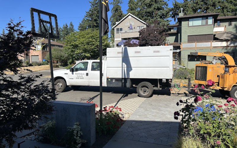 Westside Tree Care