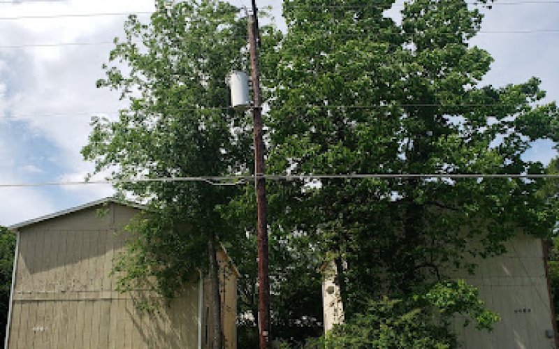 M.A.C's Tree Care