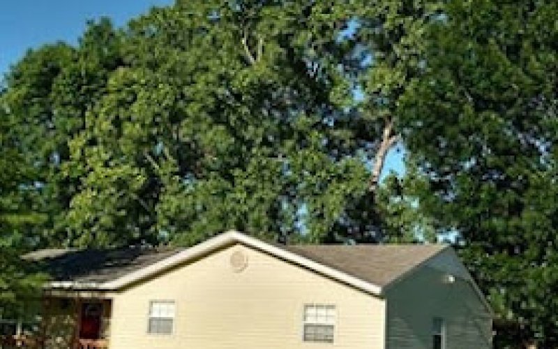 Specialty Tree Care