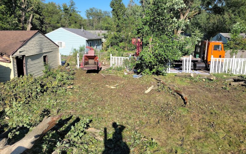 A1 Tree Service Michiana