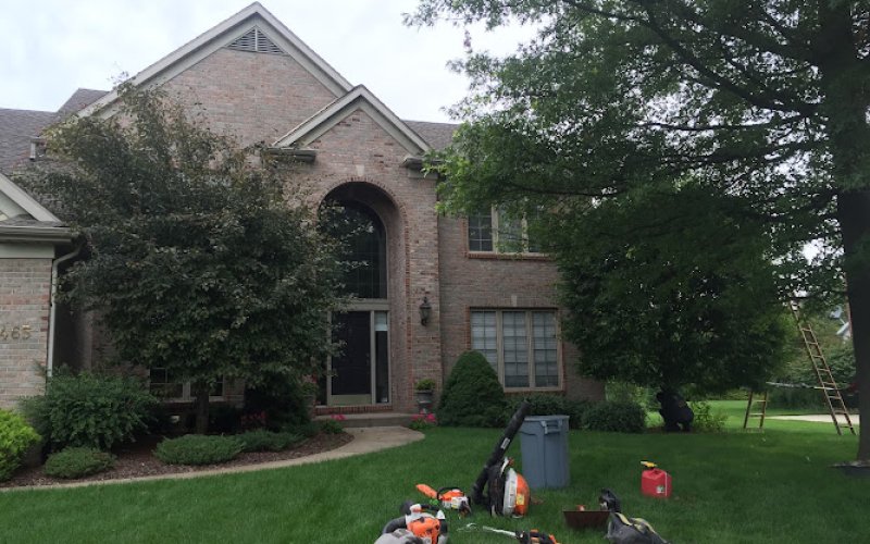 Above & Beyond Tree and Shrubbery Service