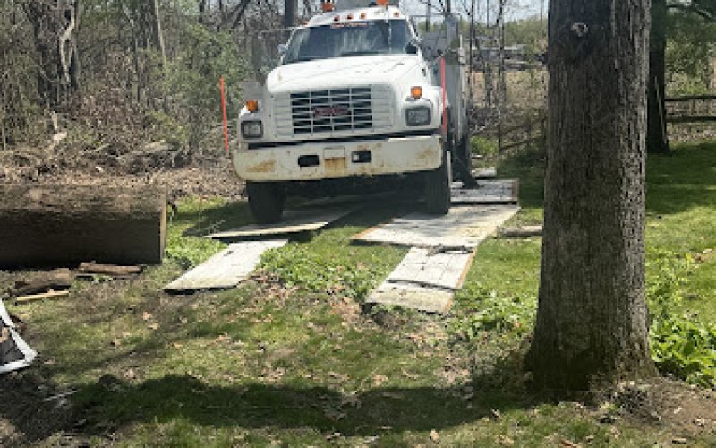 D's Tree Service LLC South Bend