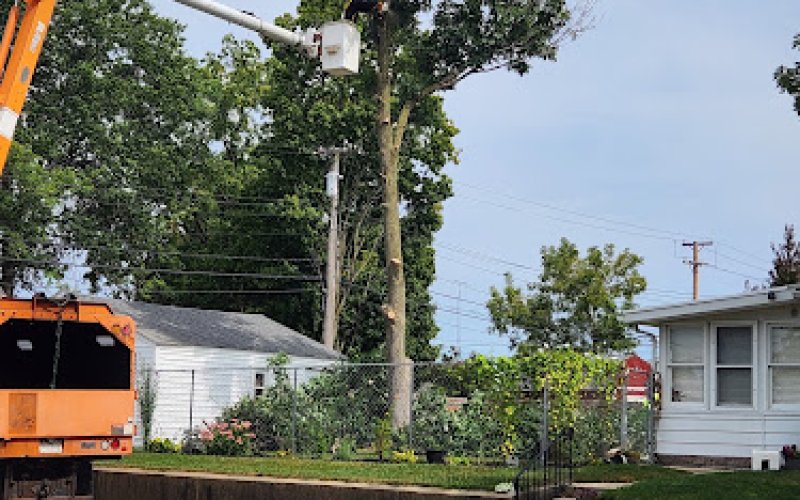Double E Tree Service