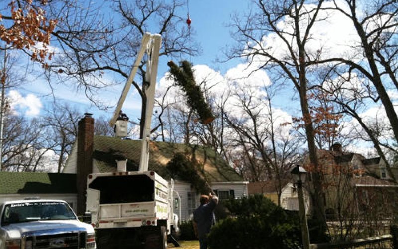 Kevins Tree and Landscaping of Michiana, Inc.