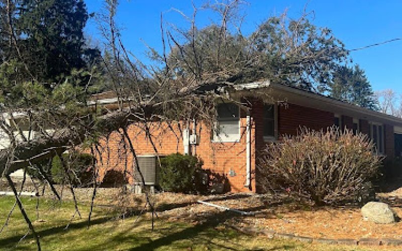 New Image Tree Services LLC