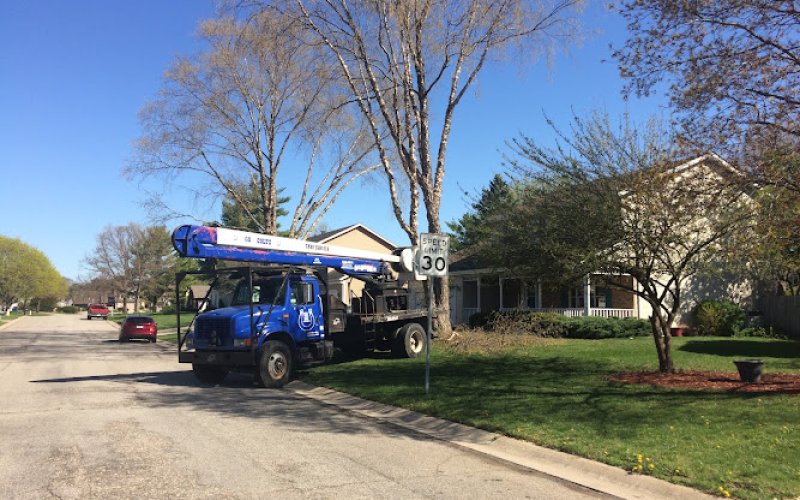 Vera Cruz Tree Service and landscaping