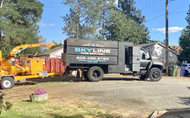 Skyline Tree Service