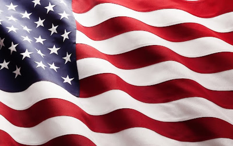 American Tree Service Unlimited