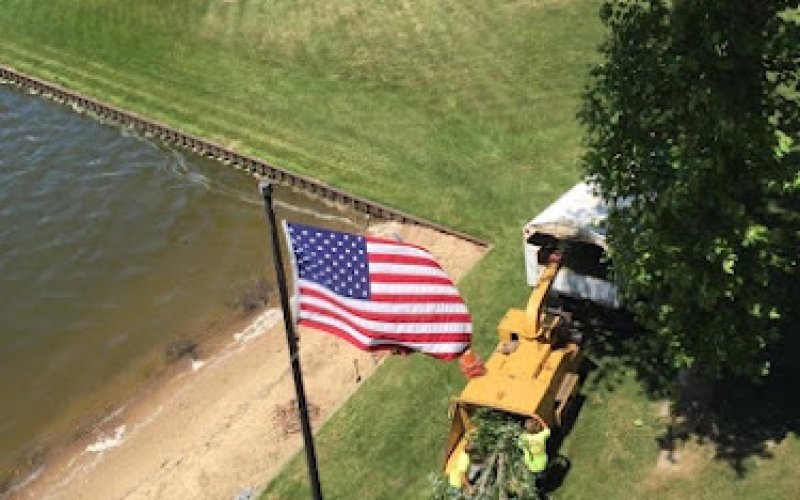 National Tree Care LLC