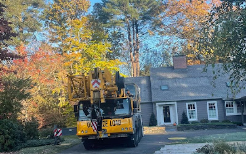 Arbormax Tree Care LLC