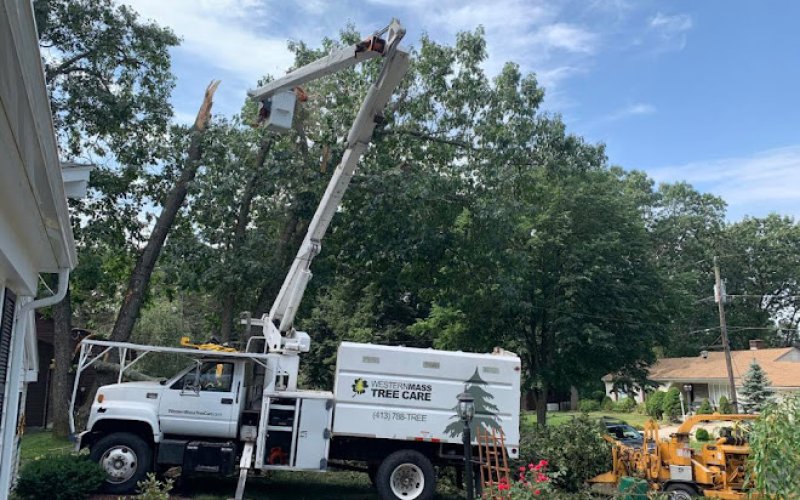 Western Mass Tree Care