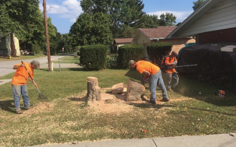 Trufast Tree Service