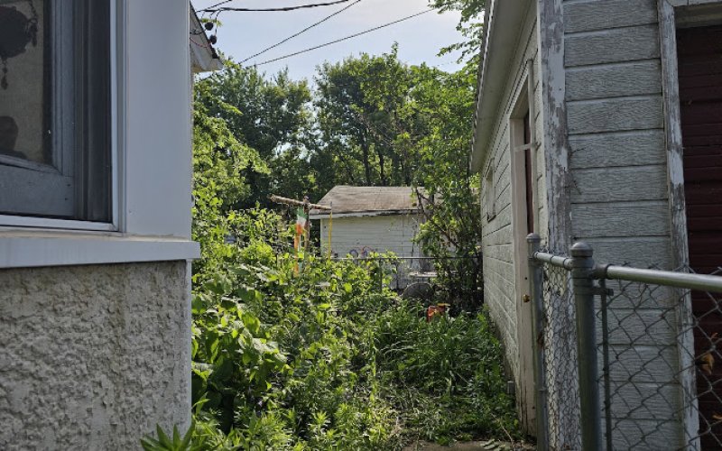 Midwest Tree Care And Services LLC — Tree service in St Paul