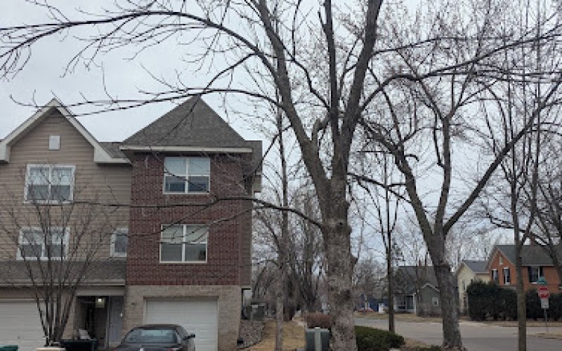 Minnesota Tree Pros — Tree service in St Paul