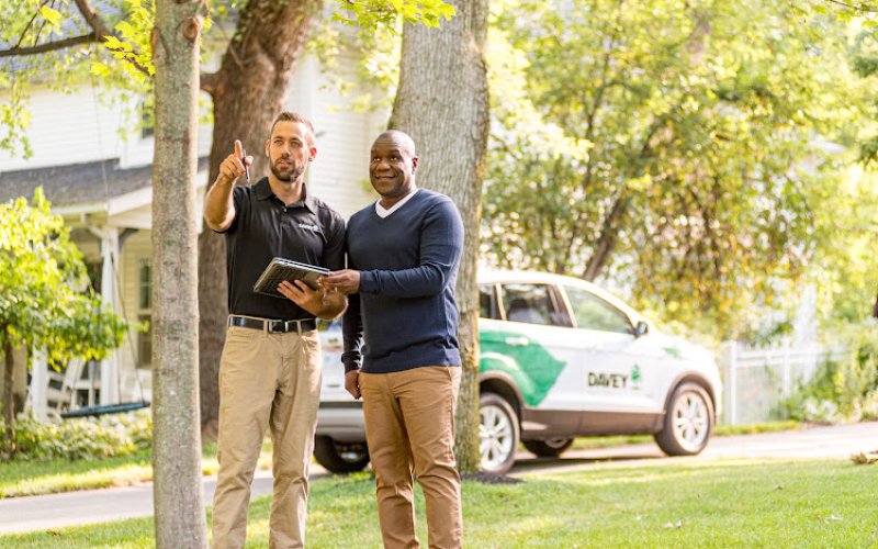 The Davey Tree Expert Company — Tree service in St Paul