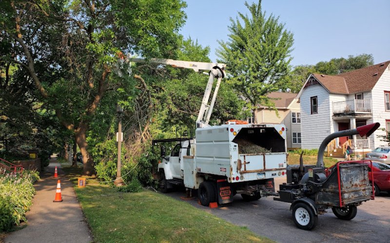 Trees Unlimited — Tree service in St Paul