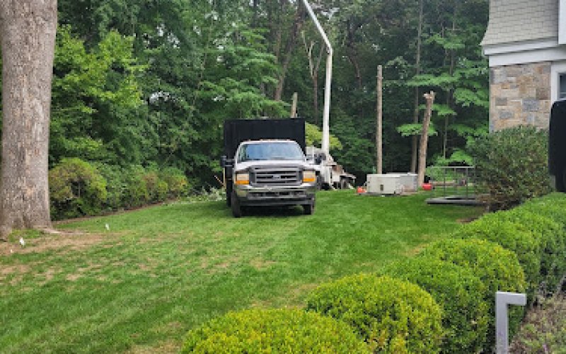 All American Tree & Turf LLC